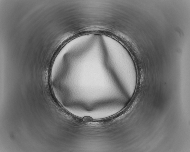 X0000112361313200909031902