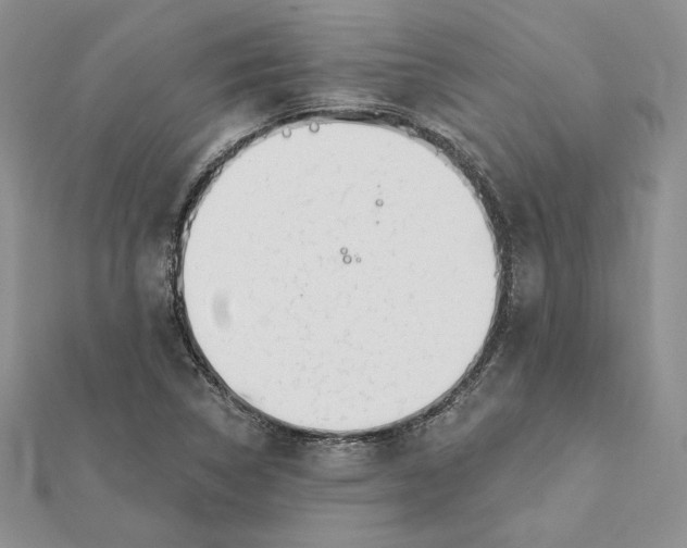 X0000112361314200909031902