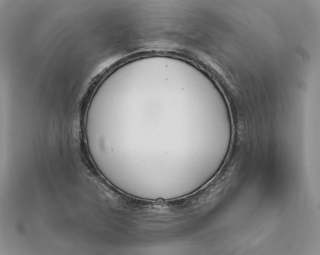 X0000112361315200909031902