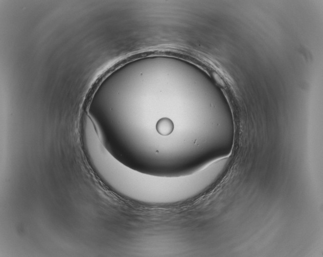 X0000112361316200909031902