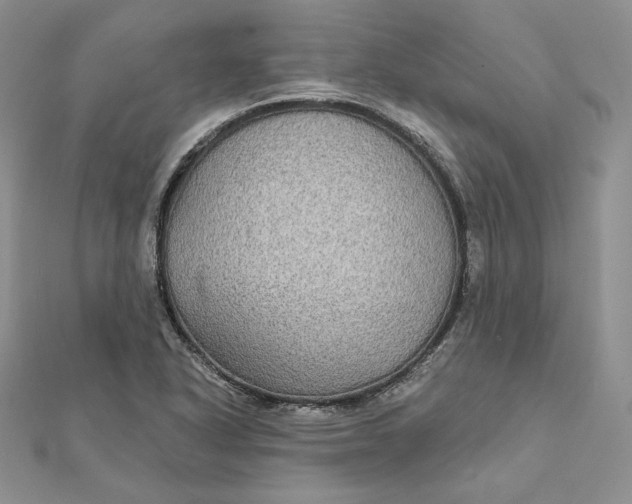 X0000112361318200909031902