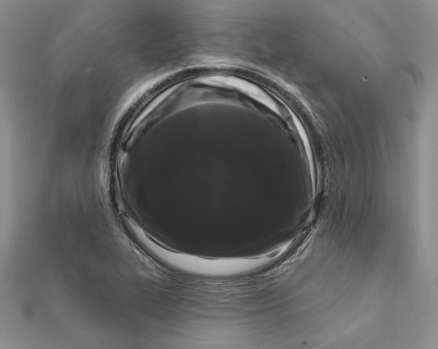 X0000112361319200909031902