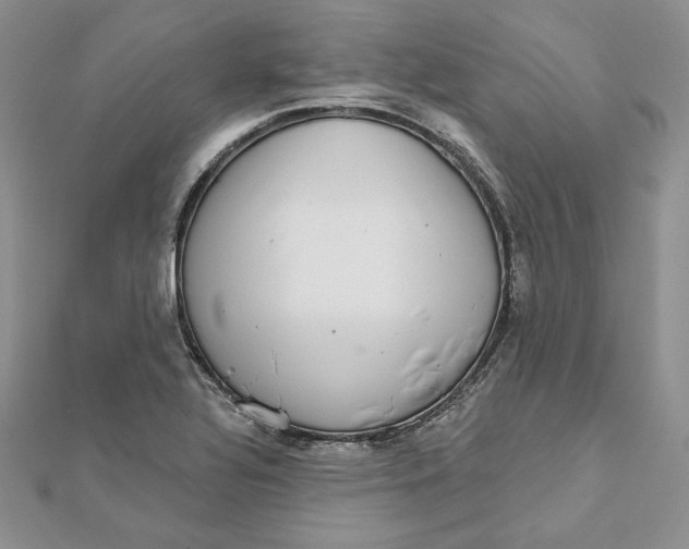 X0000112361320200909031902