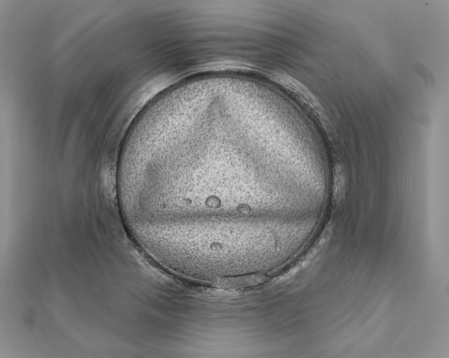 X0000112361321200909031902