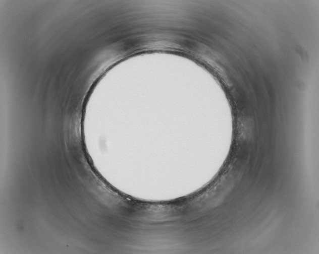 X0000112361322200909031902