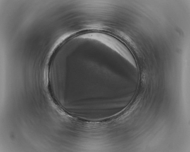 X0000112361323200909031902