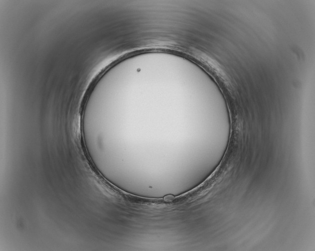 X0000112361324200909031902