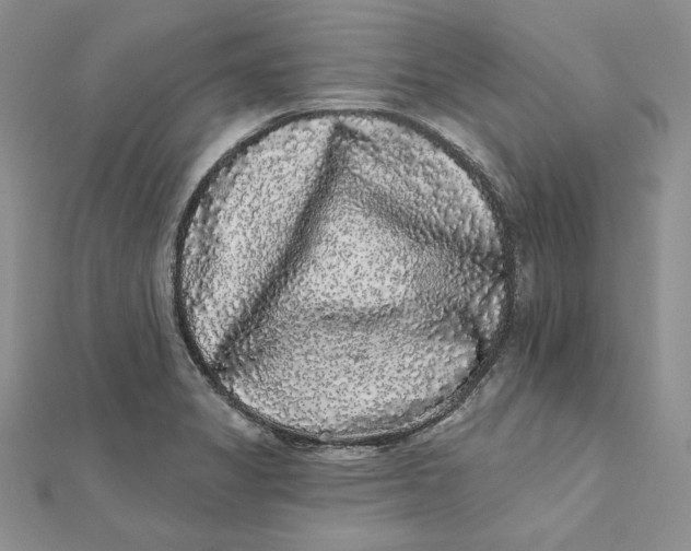 X0000112361325200909031902