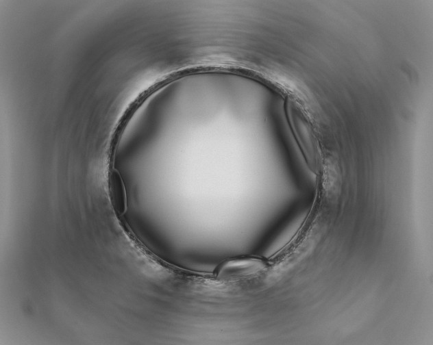 X0000112361326200909031902