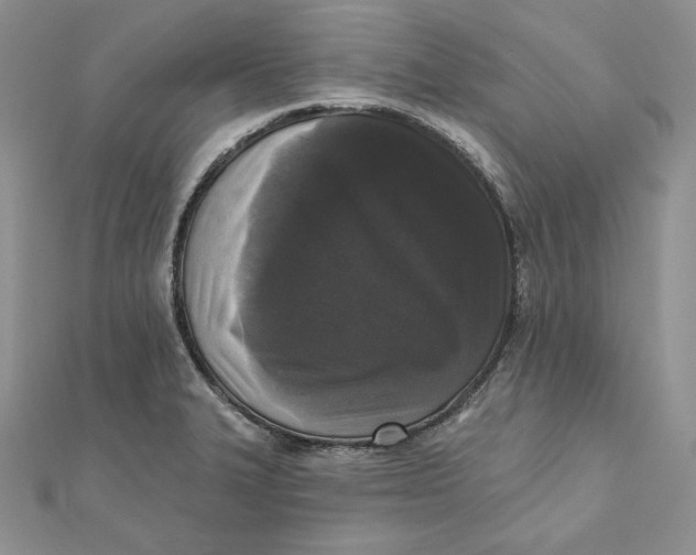 X0000112361327200909031902