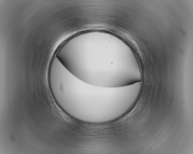 X0000112361328200909031902