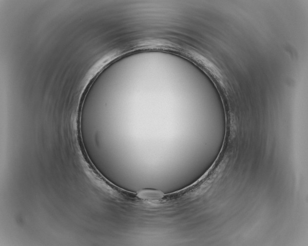 X0000112361330200909031902