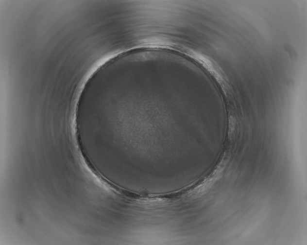 X0000112361331200909031902