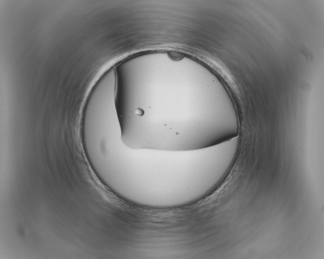 X0000112361332200909031902