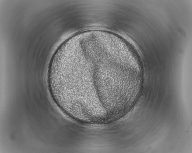 X0000112361333200909031902