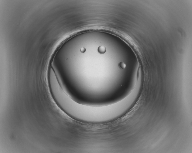 X0000112361334200909031902