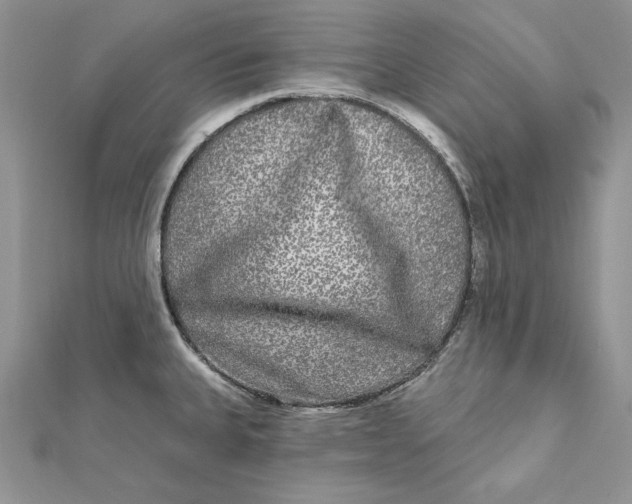 X0000112361335200909031902