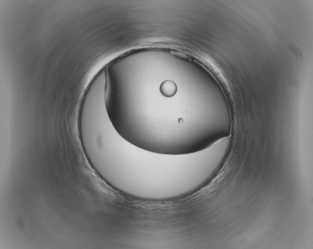 X0000112361336200909031902