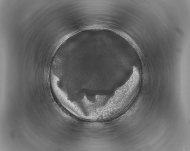 X0000112361337200909031902