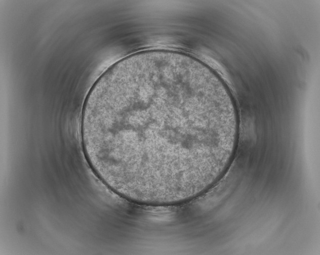 X0000112361338200909031902