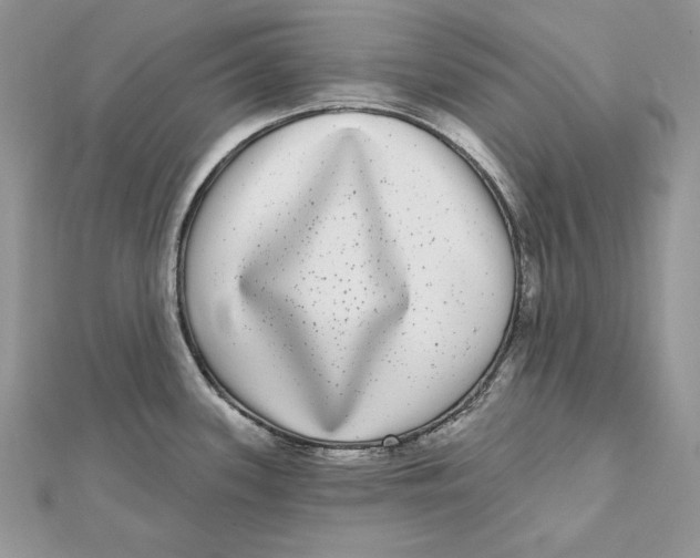 X0000112361339200909031902