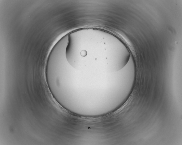 X0000112361340200909031902