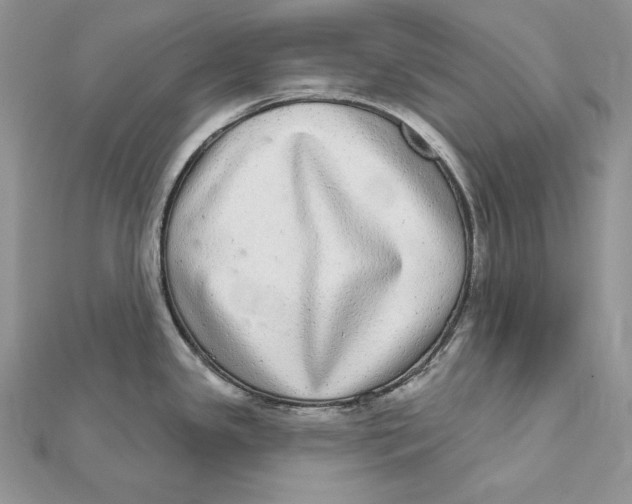 X0000112361341200909031902