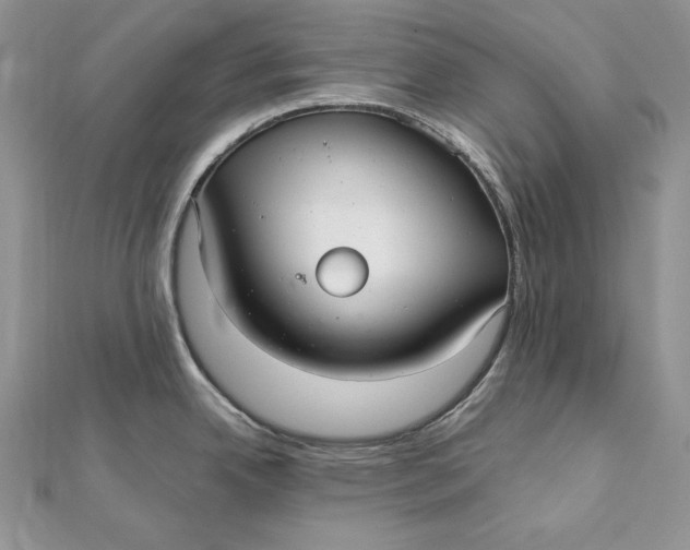 X0000112361342200909031902