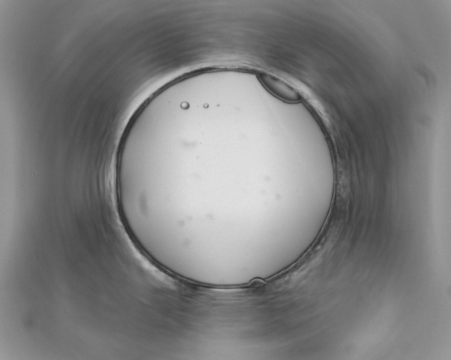 X0000112361343200909031902