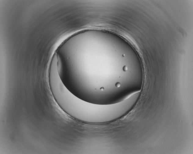 X0000112361344200909031902