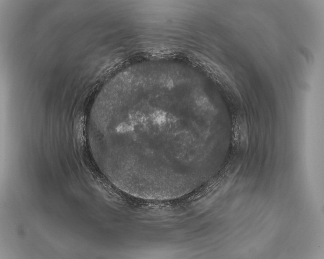 X0000112361346200909031901