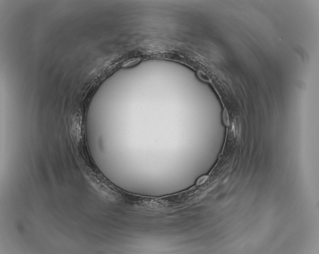 X0000112361348200909031901