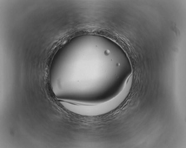 X0000112361349200909031901