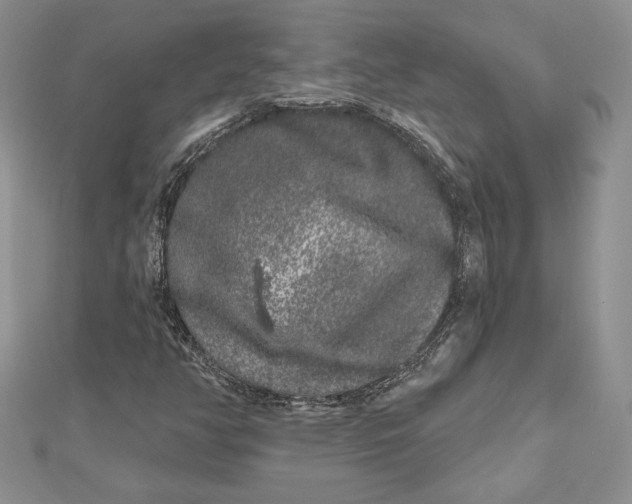 X0000112361350200909031901