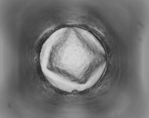 X0000112361351200909031901