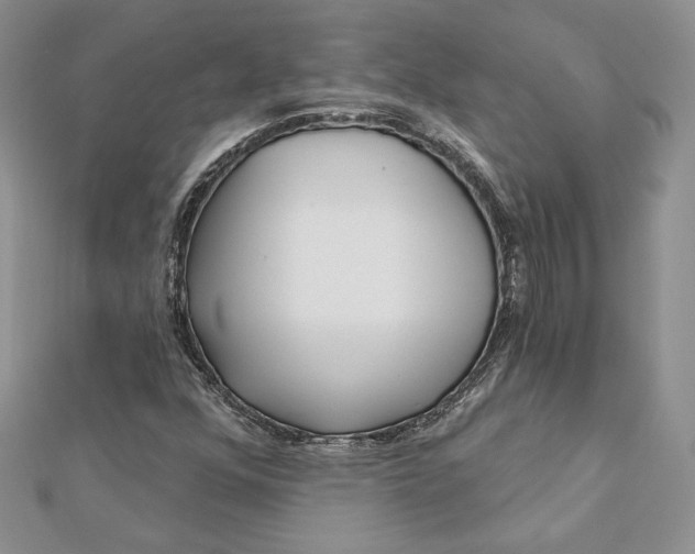 X0000112361352200909031901