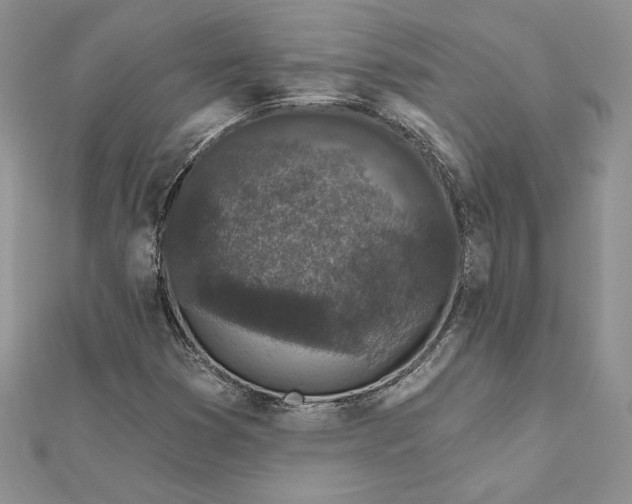 X0000112361353200909031901