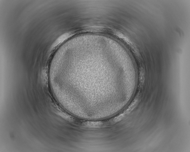 X0000112361354200909031901