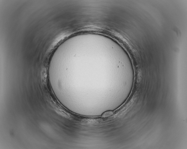 X0000112361355200909031901