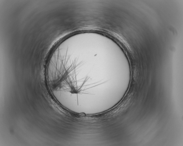 X0000112361356200909031901