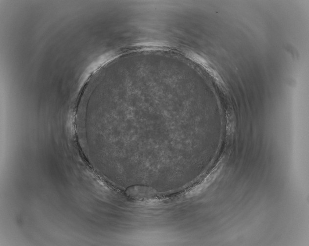 X0000112361357200909031901