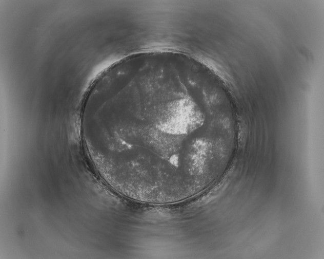 X0000112361358200909031901