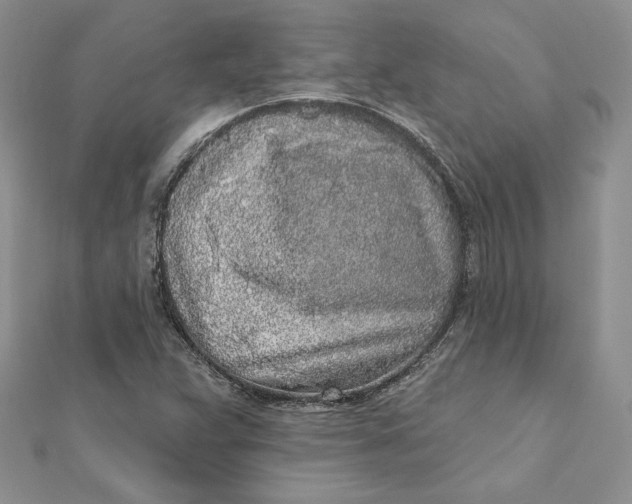 X0000112361359200909031901