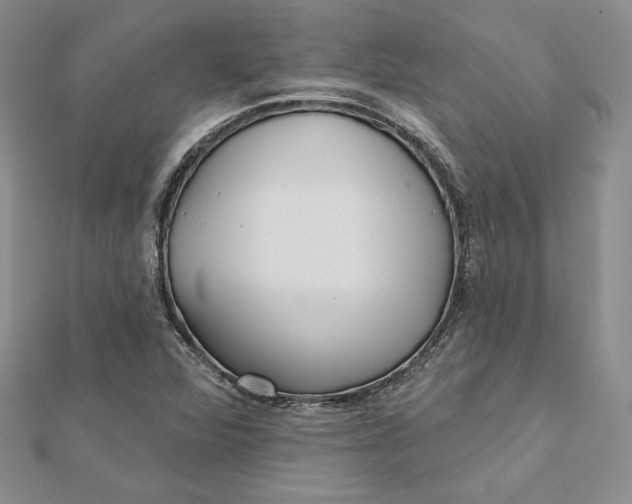 X0000112361360200909031901