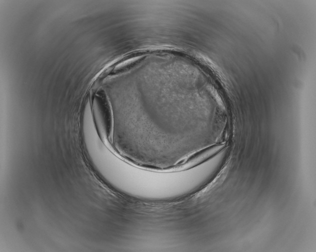 X0000112361361200909031901