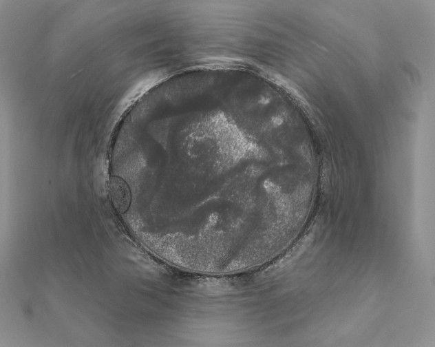 X0000112361362200909031901