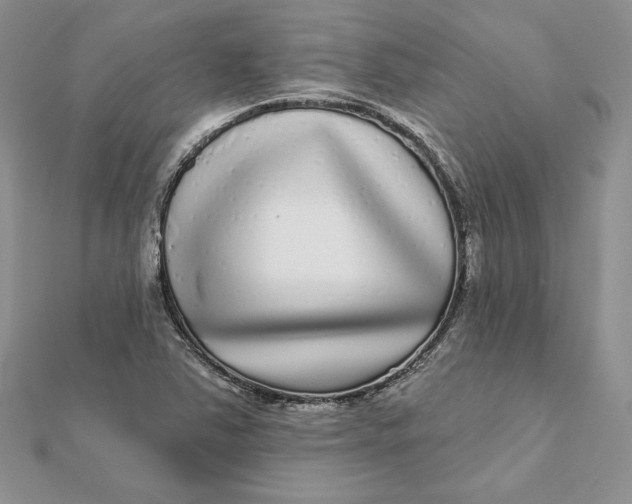 X0000112361363200909031901