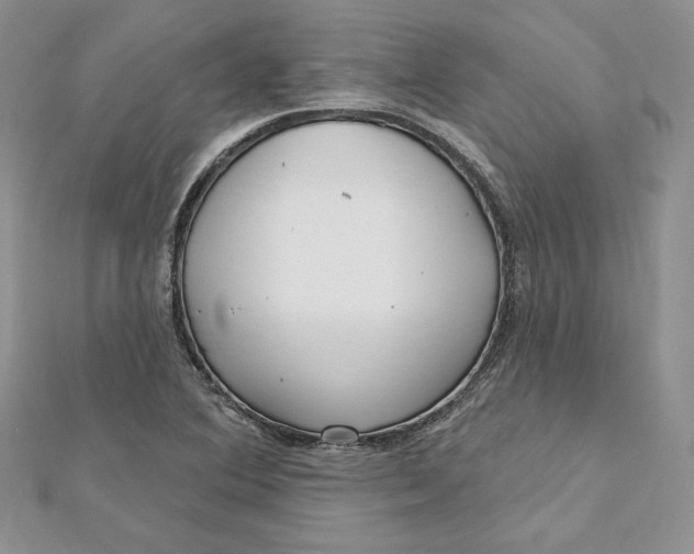 X0000112361364200909031901