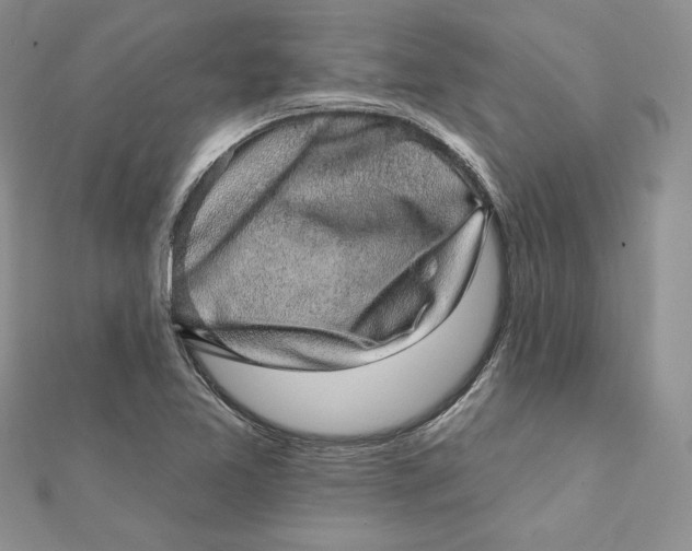 X0000112361365200909031901