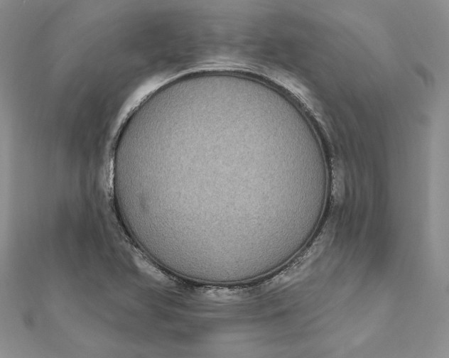 X0000112361366200909031901